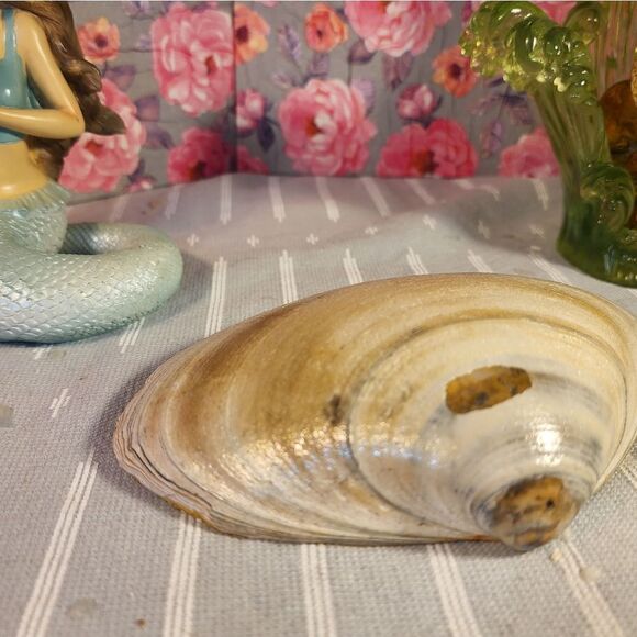 DECOUPAGE CLAM SHELL DECOUPAGE FLOWERS TRINKET DISH - Picture 8 of 8